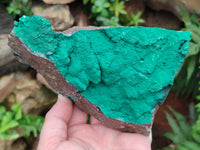 Natural Botryoidal Malachite Specimens x 2 From Tenke Fungurume, Congo