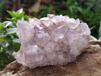 Natural Jacaranda Amethyst Quartz Clusters x 6 From Mumbwa, Zambia