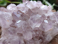 Natural Jacaranda Amethyst Quartz Clusters x 6 From Mumbwa, Zambia