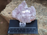 Natural Jacaranda Amethyst Quartz Clusters x 6 From Mumbwa, Zambia