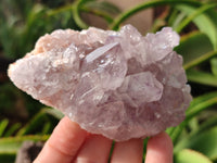 Natural Jacaranda Amethyst Quartz Clusters x 6 From Mumbwa, Zambia