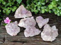 Natural Jacaranda Amethyst Quartz Clusters x 6 From Mumbwa, Zambia