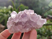 Natural Jacaranda Amethyst Quartz Clusters x 6 From Mumbwa, Zambia