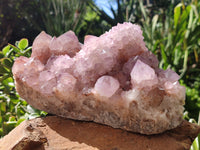 Natural Amethyst Spirit Quartz Clusters x 1 From Boekenhouthoek, South Africa