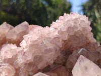 Natural Amethyst Spirit Quartz Clusters x 1 From Boekenhouthoek, South Africa