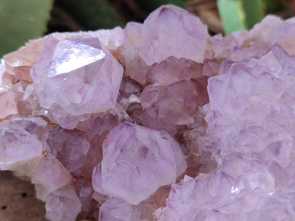 Natural Amethyst Spirit Quartz Clusters x 1 From Boekenhouthoek, South Africa