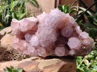 Natural Amethyst Spirit Quartz Clusters x 1 From Boekenhouthoek, South Africa