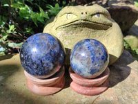 Polished Iolite Spheres x 6 From Ambatofinandrahana, Madagascar