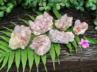 Natural Amethyst Spirit Quartz Clusters x 6 From Boekenhouthoek, South Africa