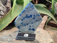 Polished Blue Spinel Spotted Quartz Leaf Sculpture x 1 From Madagascar