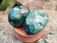 Polished Emerald Mtorolite Free Forms x 24 From Mutorashanga, Zimbabwe