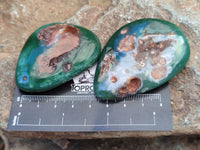 Polished Emerald Mtorolite Free Forms x 24 From Mutorashanga, Zimbabwe