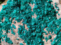 Natural Rare Dioptase Cabinet Specimen x 1 From Congo