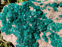 Natural Rare Dioptase Cabinet Specimen x 1 From Congo