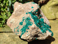 Natural Rare Dioptase Cabinet Specimen x 1 From Congo