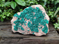 Natural Rare Dioptase Cabinet Specimen x 1 From Congo