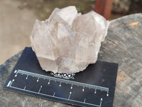 Natural Smokey Phantom Quartz Clusters x 6 From Luena, Congo