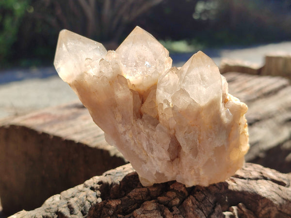 Natural Smokey Phantom Quartz Clusters x 6 From Luena, Congo