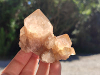 Natural Smokey Phantom Quartz Clusters x 6 From Luena, Congo