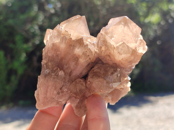 Natural Smokey Phantom Quartz Clusters x 6 From Luena, Congo