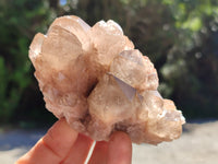 Natural Smokey Phantom Quartz Clusters x 6 From Luena, Congo