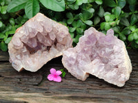 Natural Jacaranda Amethyst Quartz Clusters x 2 From Mumbwa, Zambia