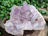 Natural Jacaranda Amethyst Quartz Clusters x 2 From Mumbwa, Zambia