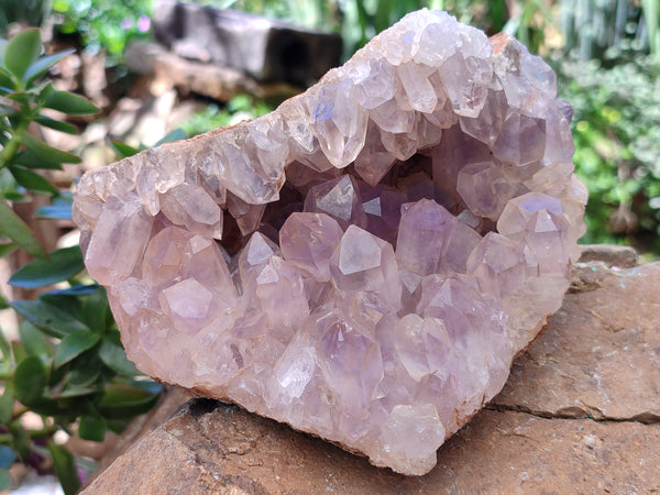 Natural Jacaranda Amethyst Quartz Clusters x 2 From Mumbwa, Zambia