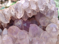 Natural Jacaranda Amethyst Quartz Clusters x 2 From Mumbwa, Zambia