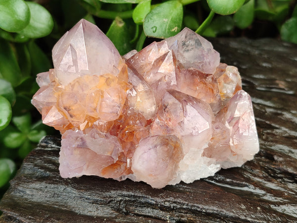 Natural Dark Purple Amethyst Spirit Quartz Clusters x 6 From Boekenhouthoek, South Africa