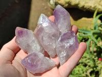 Natural Jacaranda Amethyst Quartz Crystals x 35 From Mumbwa, Zambia