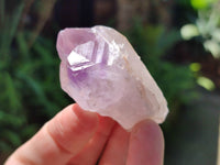 Natural Jacaranda Amethyst Quartz Crystals x 35 From Mumbwa, Zambia