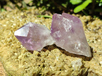 Natural Jacaranda Amethyst Quartz Crystals x 35 From Mumbwa, Zambia