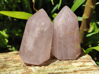 Polished Rose Quartz Crystal Points x 6 From Ambatondrazaka, Madagascar