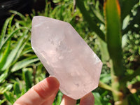 Polished Rose Quartz Crystal Points x 6 From Ambatondrazaka, Madagascar