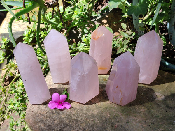 Polished Rose Quartz Crystal Points x 6 From Ambatondrazaka, Madagascar