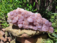 Natural Lilac Amethyst Spirit Quartz Cluster x 1 From Boekenhouthoek, South Africa