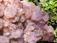 Natural Lilac Amethyst Spirit Quartz Cluster x 1 From Boekenhouthoek, South Africa