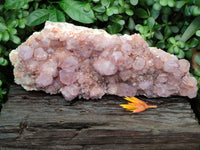 Natural Lilac Amethyst Spirit Quartz Cluster x 1 From Boekenhouthoek, South Africa