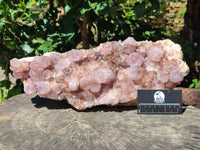 Natural Lilac Amethyst Spirit Quartz Cluster x 1 From Boekenhouthoek, South Africa