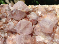 Natural Lilac Amethyst Spirit Quartz Cluster x 1 From Boekenhouthoek, South Africa