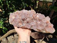 Natural Lilac Amethyst Spirit Quartz Cluster x 1 From Boekenhouthoek, South Africa