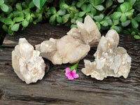 Natural Drusy Quartz Coated Calcite Pseudomorph Crystals x 4 From Lesotho