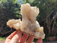 Natural Drusy Quartz Coated Calcite Pseudomorph Crystals x 4 From Lesotho