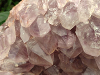 Natural Jacaranda Amethyst Quartz Cluster x 1 From Mumbwa, Zambia