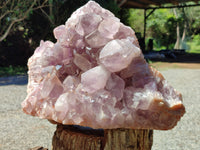 Natural Jacaranda Amethyst Quartz Cluster x 1 From Mumbwa, Zambia