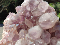 Natural Jacaranda Amethyst Quartz Cluster x 1 From Mumbwa, Zambia