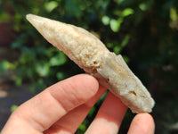 Natural Drusy Quartz Coated Calcite Pseudomorph Specimens x 20 From Alberts Mountain, Lesotho