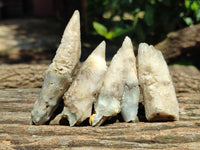 Natural Drusy Quartz Coated Calcite Pseudomorph Specimens x 20 From Alberts Mountain, Lesotho