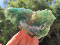 Polished On One Side Emerald Mtorolite Plates x 6 From Mutorashanga, Zimbabwe